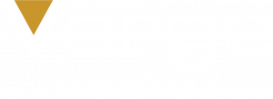 Verge Logo