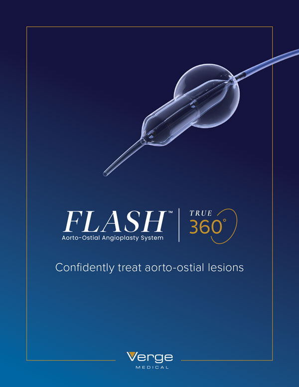 Verge_FLASH-Brochure_RevB_digital-thumb